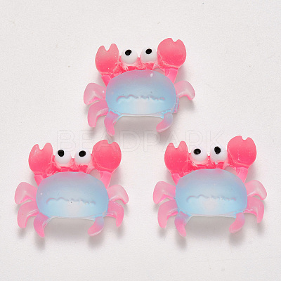 Translucent Frosted Resin Cabochons LS-CRES-N022-12-1