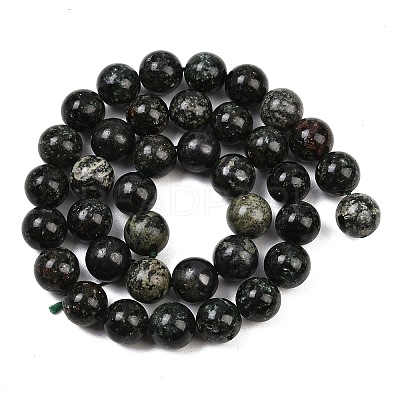 Natural Seraphinite Beads Strands G-H337-A03-05-1