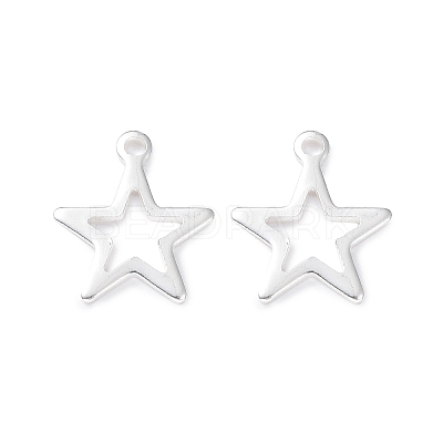 304 Stainless Steel Charms X-STAS-L234-095S-1