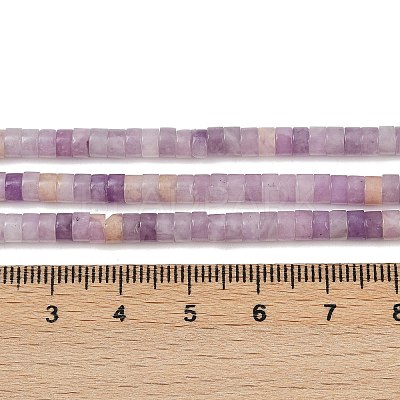 Natural Lepidolite/Purple Mica Stone Beads Strands G-H230-80-1