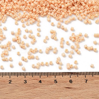 Baking Paint Glass Seed Beads X-SEED-S042-05B-80-1