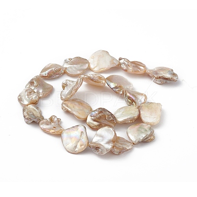 AB Color Plated Natural Freshwater Shell Beads Strands X-BSHE-G033-03B-1
