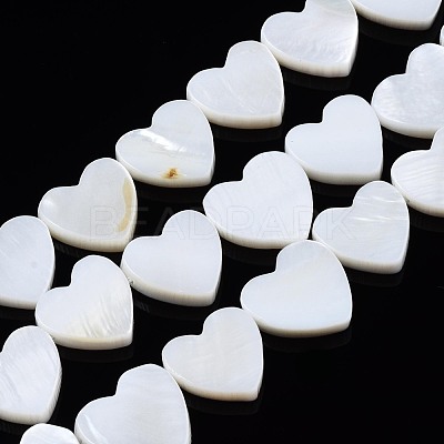 Natural Freshwater Shell Beads Strands SHEL-N027-21-1