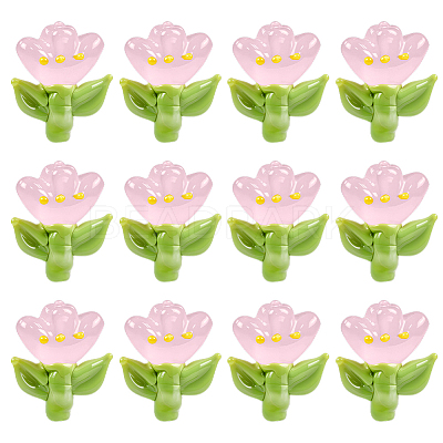 12Pcs Handmade Lampwork Beads LAMP-PA0001-03B-1