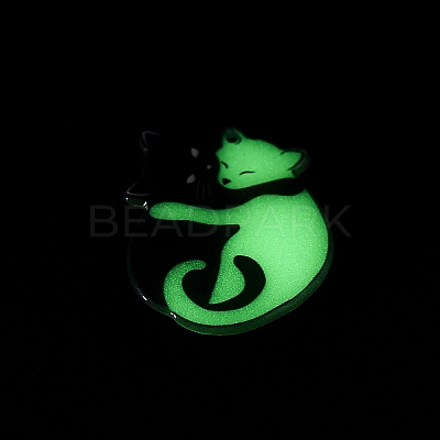Luminous Opaque Acrylic Pendants SACR-P025-A03-1