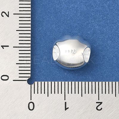925 Sterling Silver European Beads STER-NH0001-29S-1