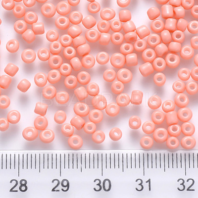 12/0 Baking Paint Glass Round Seed Beads SEED-S036-01A-17-1