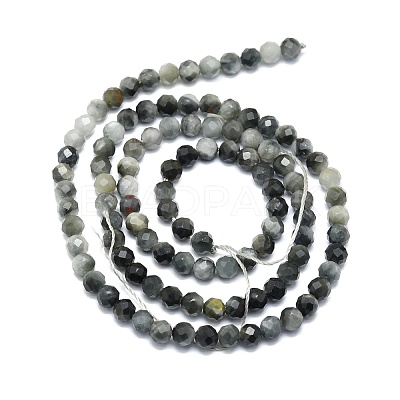 Natural Hawk's Eye Beads Strands G-P457-A03-06-1