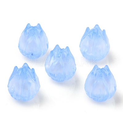 Transparent Acrylic Beads X-OACR-K005-13-1