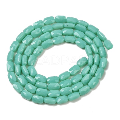 Opaque Glass Beads Strands GLAA-Z018-D21-1