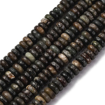 Natural Biotite Jade Beads Strands G-L624-H09-6x2mm-1