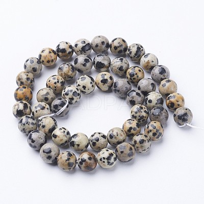 Natural Dalmatian Jasper Beads Strands X-GSR004-1
