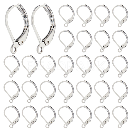 Beebeecraft 200Pcs 304 Stainless Steel Leverback Earring Findings STAS-BBC0003-75-1