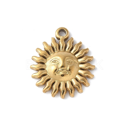 304 Stainless Steel Charms STAS-E548-06G-1