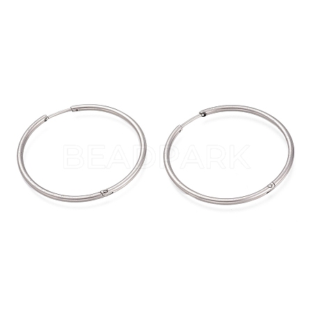 Non-Tarnish 304 Stainless Steel Huggie Hoop Earrings EJEW-L256-02H-P-1
