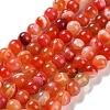 Natural Striped Agate/Banded Agate Beads Strands G-Z060-A01-B19-1