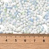 Two Tone Baking Paint Glass Seed Beads SEED-F005-01A-13-4
