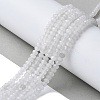 Natural Malaysia Jade Rondelle Beads Strands G-E316-2x4mm-63-2