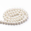 Eco-Friendly Dyed Glass Pearl Round Bead Strands X-HY-A008-8mm-RB011-3