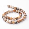 Round Natural Crazy Agate Bead Strands G-J346-07-10mm-2