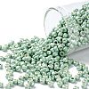 TOHO 8/0 Round Beads SEED-XTR08-PF0570F-1