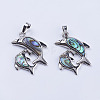 Abalone Shell/Paua Shell Pendants X-SSHEL-L008-11P-2