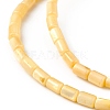 Natural Freshwater Shell Dyed Beads Strands SHEL-M018-12-4