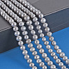 Natural Cultured Freshwater Pearl Beads Strands PEAR-N013-04D-5