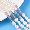 Natural Labradorite Nuggets & Natural Cultured Freshwater Pearl Beads Strands PEAR-N023-01A-17-1