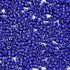 FGB 11/0 Grade A Glass Seed Beads SEED-S030-1024-2
