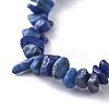 Chips Natural Lapis Lazuli(Dyed) Stretch Bracelets BJEW-JB04700-01-4