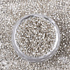 Glass Seed Beads SEED-S042-04B-06-2