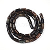 Natural Biotite Beads Strands G-N346-01A-02-3