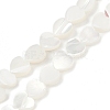Natural Trochid Shell/Trochus Shell Beads Strands SSHEL-K012-04A-2