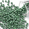 6/0 Glass Seed Beads SEED-A012-4mm-127-1