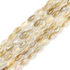 Natural Freshwater Shell Beads Strands BSHE-G036-03-1