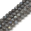 Natural Labradorite Beads Strands G-G448-8mm-04A-1
