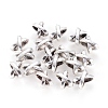 Tibetan Style Alloy Slide Charms X-TIBEB-337-AS-FF-1