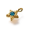 304 Stainless Steel Charms STAS-R159-58G-03-2