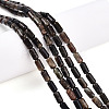 Natural Biotite Beads Strands G-N346-01A-02-1