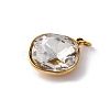 316 Stainless Steel Faceted Glass Pendants STAS-K258-47G-03-2