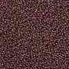 MIYUKI Round Rocailles Beads SEED-X0055-RR0301-3