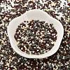 Baking Paint Glass Seed Beads SEED-S042-05B-55-2