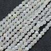 Natural White Moonstone Beads Strands G-E411-07-2mm-1