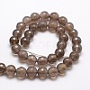 Dyed Natural Agate Faceted Round Beads Strands G-E320B-10mm-01-2