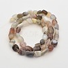 Natural Botswana Agate Bead Strands G-P070-52-2
