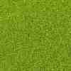 TOHO 15/0 Round Beads SEED-XTR15-0004-2