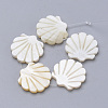 Natural Freshwater Shell Beads X-SHEL-T007-03-1