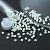6/0 Opaque Glass Seed Beads SEED-YW0002-13N-6