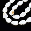 Natural Freshwater Shell Beads Strands SHEL-Q024-004-3